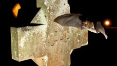 Bats are seeking sanctuary in churches - but they're making an unholy mess