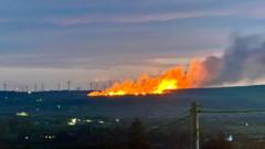 Firefighters tackle forest blaze as Mourne wildfires under control