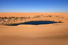 Les oasis, ou les oubliées du développement durable