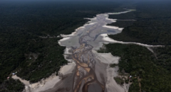 Seca na Amazônia