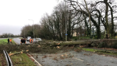 Van driver killed by falling tree as Storm Darragh rages