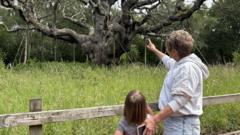 'All we've got left is the legend': Why the death of the famous Major Oak matters