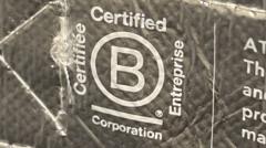 Is the Global Environmental Award Just a Case of Greenwashing?