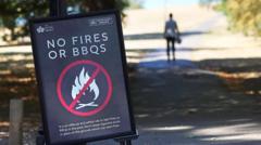 Temporary ban on sale of disposable BBQs over wildfire risk
