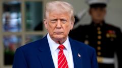 Trump administration considers suspending habeas corpus