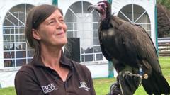 How Are the Welsh Fighting to Save Endangered Vultures?