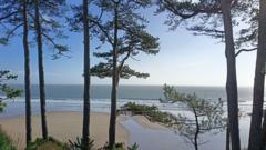 Beachside sauna application refused as naked customers annoy neighbours