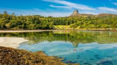 Why the Isle of Eigg hatched a plan to grow its own trees