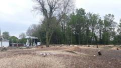 Firm handed 'record' illegal tree felling fine