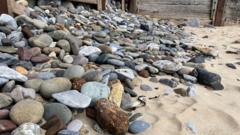 Pinched pebble plea as crucial beach rocks taken