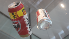 Beer can artwork at Dutch museum accidentally ends up in bin