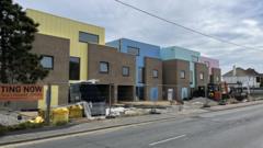 Colourful homes - like Lego or a nod to tradition?