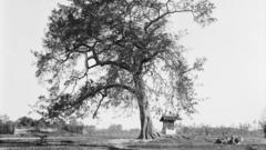 The Documentary - Tree of Diplomacy