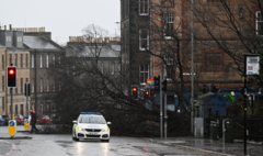 Teenager dies after car hit by falling tree