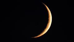 The moon