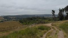Moor still recovering from wildfire eight years ago