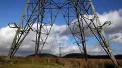 Hundreds of farmers challenge pylons firm in landmark legal case