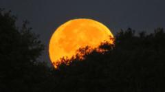 Hunter's supermoon: when to see the brightest full moon of 2024