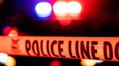 Could a Teddy Bear Made from Fake Human Skin Lead to an Arrest in California?