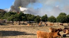 What Are the Impacts of Spain's Devastating Wildfire Summer?