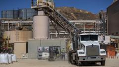US government to invest in rare earths production