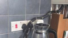 Kingsnake rescued after hiding in boiler at new home