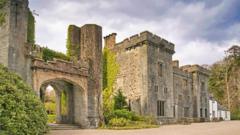 'Significant interest' in buying Skye clan castle, sellers say