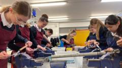 New initiative to boost D&T uptake in schools