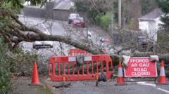 Watch: Trees down and streets flooded as Storm Éowyn brings wild weather