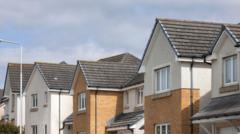 Affordable rental scheme homes to be available within weeks