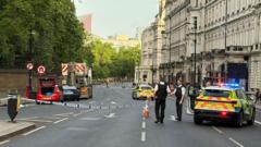 Appeal after Hyde Park Corner cyclist-lorry crash