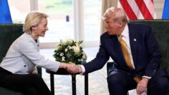 Will Trump Reverse 250% EU Pharma Tariff in New Deal?