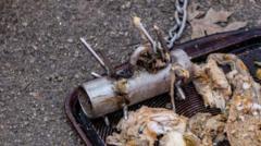 Sewage blockages tackled with 'baby hedgehog' tool