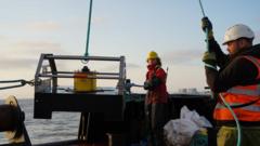 How £50m 'fish disco' could save farmland