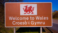 Welsh election not about independence, Plaid Cymru candidate says