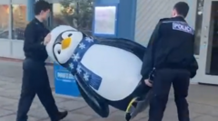 Restaurant staff 'over the moon' at penguin return