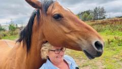 Halfpenny Farm Animal Sanctuary in Aberdeenshire began life almost by accident more than 20 years ago.