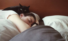 รูปแมวดำบนหัวนอน 
