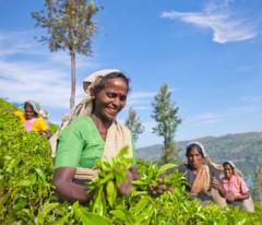 தமிழக விவசாயிகள்