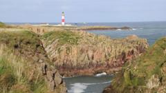Woman who fell from cliff airlifted to hospital
