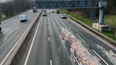 An offal mess: Lorry’s shed load leads to M6 delays
