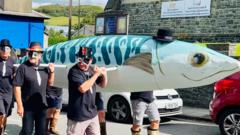 Animal rights charity wants town's mackerel festival to celebrate cabbage instead
