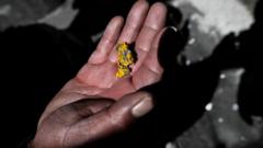Peru kidnapping leaves 13 dead in gold mine
