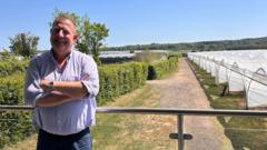 Farm ships 1.5m strawberry punnets in bumper crop
