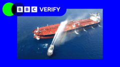 How might the UK support shipping in the Strait of Hormuz?