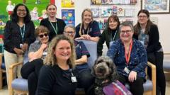 Lily the therapy dog joins NHS hospitals group