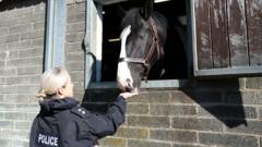 Watch: Training police horses to help deal with public disorder