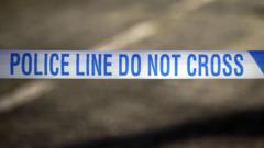 Two arrested after boy killed and two hurt in crash