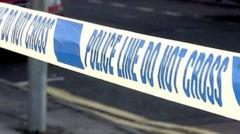 Man arrested after climbing on to roof