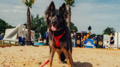 In Pictures: Pooches party at festival for dogs